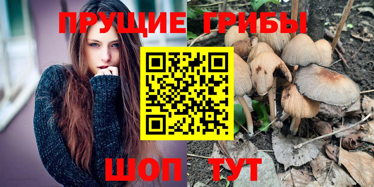 Псилоцибиновые грибы MAGIC MUSHROOMS Рославль